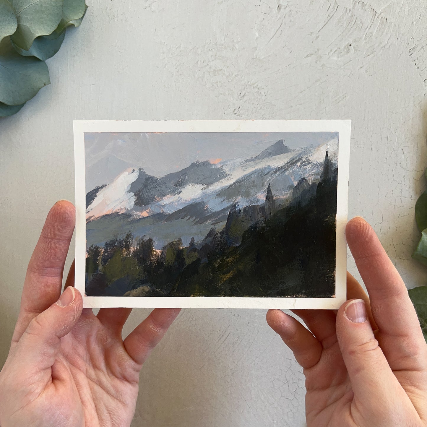 "Head Above the Alpine"